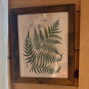 Framed Botanical Fern Print